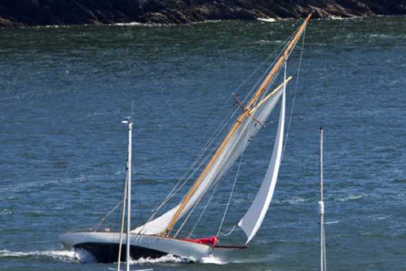 29 July 2023 - 13:56:56
Classic yacht Cynthia showing her mettle. And darn nearly her keel too.
------------------------
Classic yacht Cynthia. Sail number 223